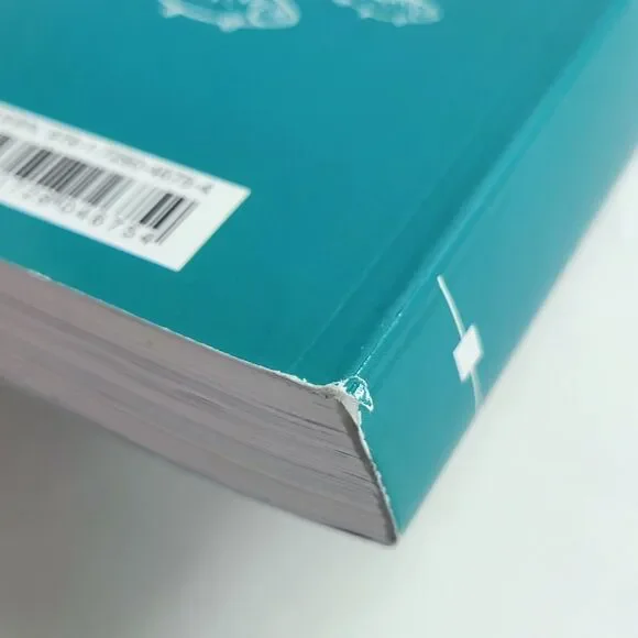 i-Ready Classroom Mathematics Grade 6 Volume 1 & 2 Student Workbooks Homeschool - Picture 8 of 9